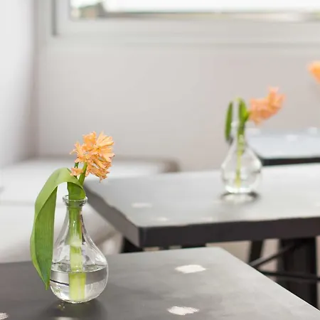 Apartment Vibe Split