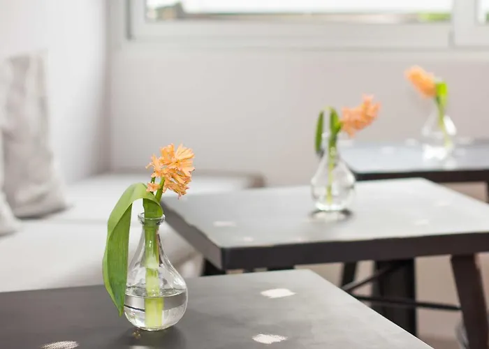 Appartement Vibe Split